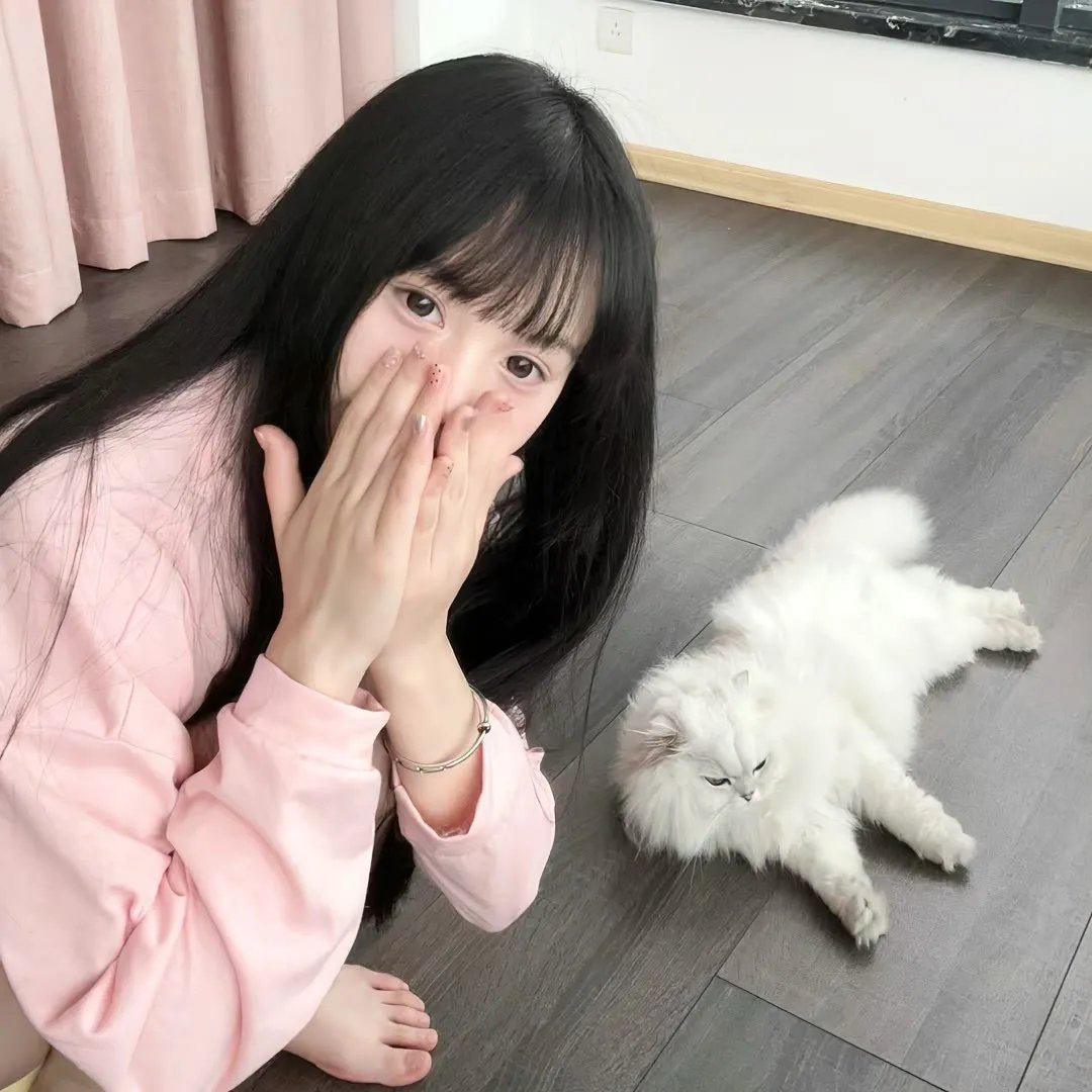 盒子 在线观看