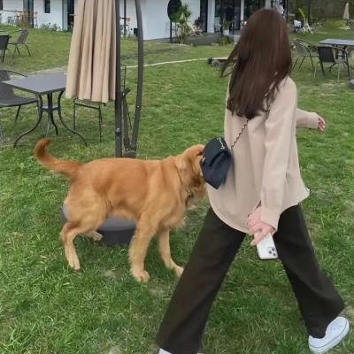 熊出没之秋日团团转 在线观看